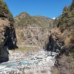 Suspension Bridges | Photo taken by Katarina W