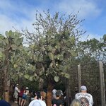 Photo taken by Gary W