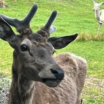 Photo taken by Tina D