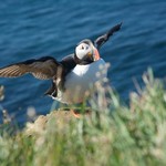 Photo taken by Richard J