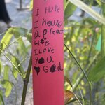 Photo taken by Katherine T