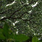 Photo taken by William R