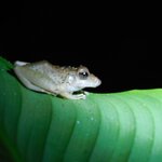 Photo taken by Brett F