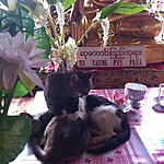 Photo taken by Rodney S