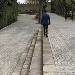 Photo taken by Paul M