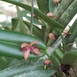 Photo taken by Kathy K