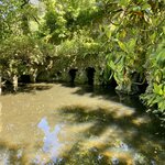 Photo taken by Lisa B