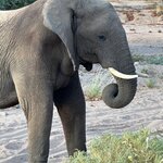 Photo taken by Sandro P