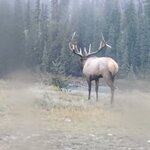 Photo taken by Virginia C