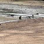 Photo taken by Kim B