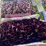 Photo taken by Paula F