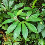 Photo taken by Tenley G