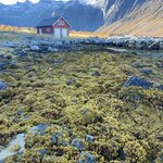 Photo taken by Anjana A