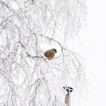 Photo taken by Raylene C