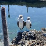 Photo taken by Nicole S