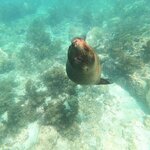 Photo taken by Stephanie A