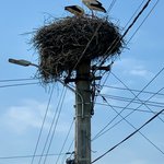 Photo taken by Tom E