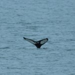 Photo taken by stefanie c