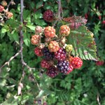 Photo taken by Beth S