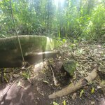 Photo taken by Darla D