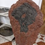 Photo taken by Hunter M