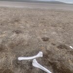 Photo taken by SANDRA V