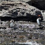 Photo taken by Ann F