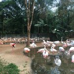 Photo taken by Ramnik B