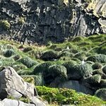 Photo taken by Sharon B