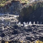 Photo taken by Joe S