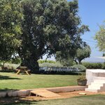 Photo taken by Russ K