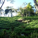 Photo taken by Graeme W