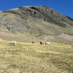 Photo taken by Dion F