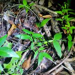 Photo taken by Camille S