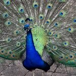 Photo taken by Judith C