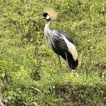 Photo taken by Michael L