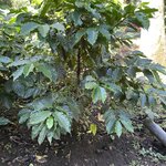 Photo taken by Alexia M