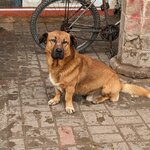 Photo taken by Hunter M