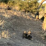 Photo taken by rhonda c