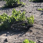 Photo taken by Janelle M