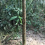 Photo taken by Ayca A