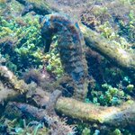 Photo taken by Katarzyna W