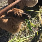 Photo taken by Ashley V