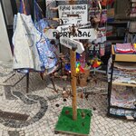 Photo taken by George N