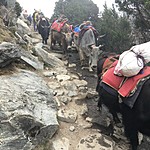 Photo taken by John David W