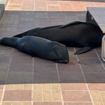 Photo taken by Gary W