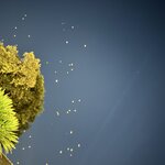 Photo taken by Lorraine B