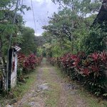 Photo taken by Luke T