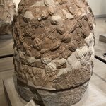 Photo taken by Lori H