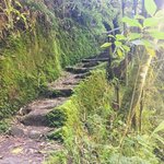 Following the ancient trail | Photo taken by Matt M